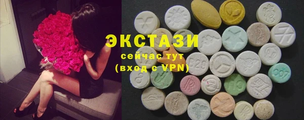 гашик Няндома