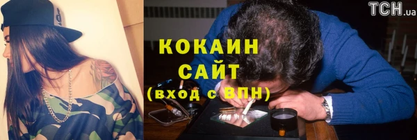 гашик Няндома