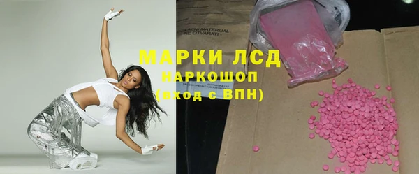 гашик Няндома