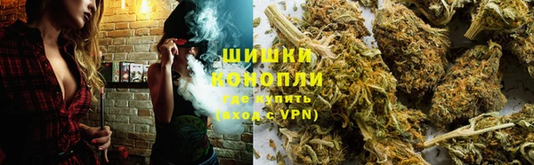 гашик Няндома