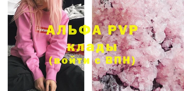 гидра Новодвинск