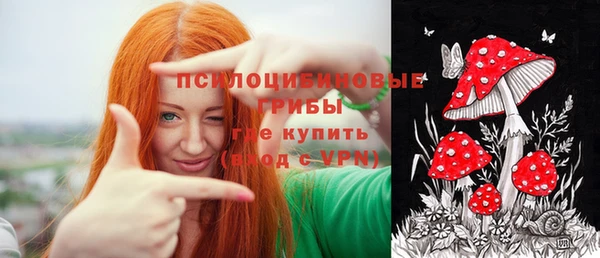 гидропоника Нягань