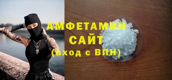 гашик Няндома