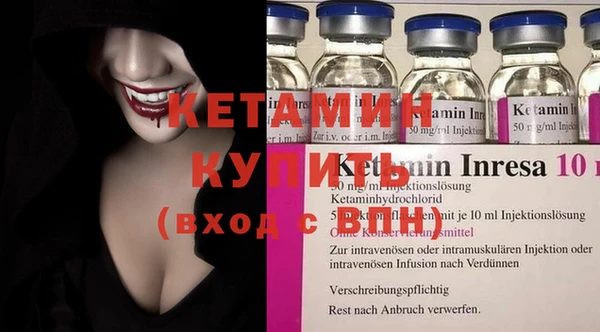 гидра Новодвинск