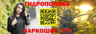 прущие грибы Бийск