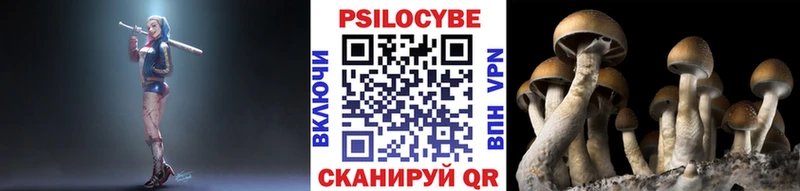 Псилоцибиновые грибы Psilocybe  Ржев 