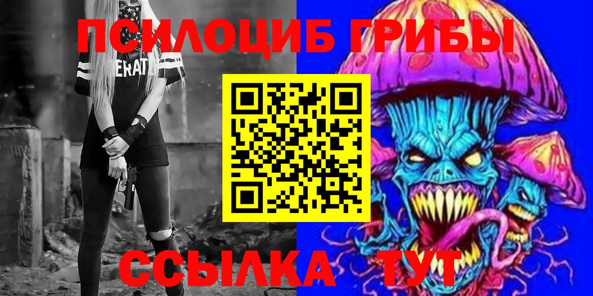 Галлюциногенные грибы Psilocybe Ржев