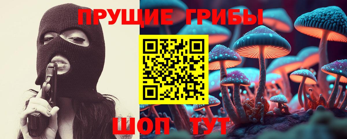 Галлюциногенные грибы Cubensis  Псилоцибиновые грибы MAGIC MUSHROOMS  Ржев 